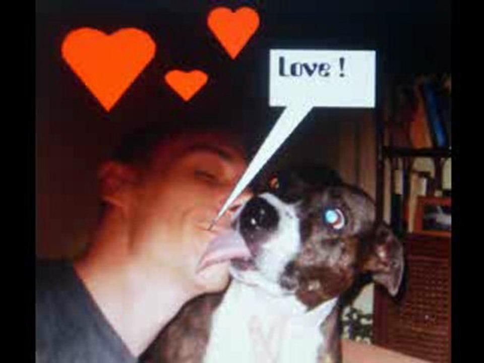 c'est arrivé près de chez toi