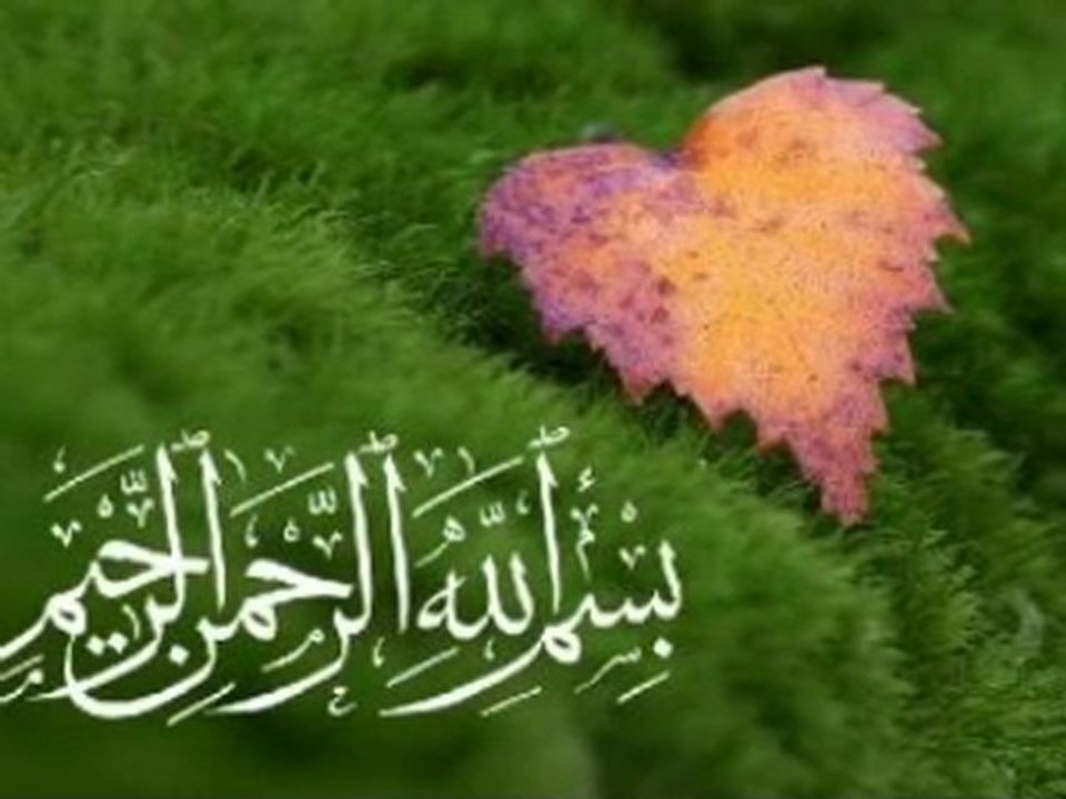 al9yama