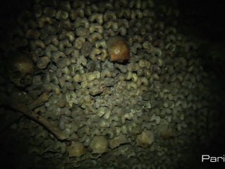 Visitez les Catacombes de Paris