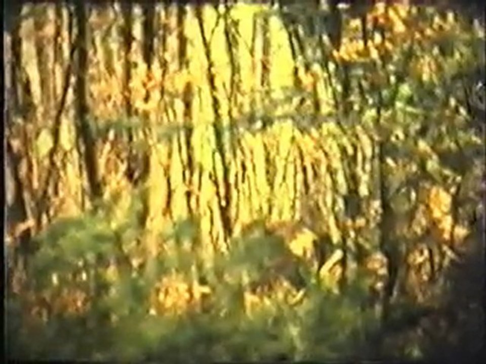 1976-En Autriche avec Adèle et Joseph