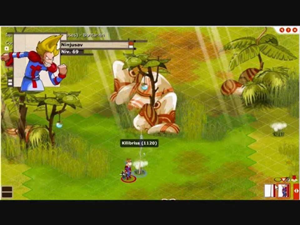 dofus iop lvl 70 Serveur menalt