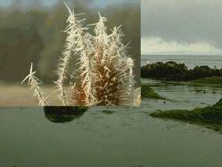 آية الكرسي بصوت القارئ فارس عباد