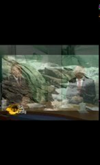 İSMAİL COŞAR BİLALDEMİR YÜREK İLAHİ (ART) 2010