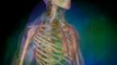Complications and Risks of Spinal Surgery - Chiro Atlanta Ga