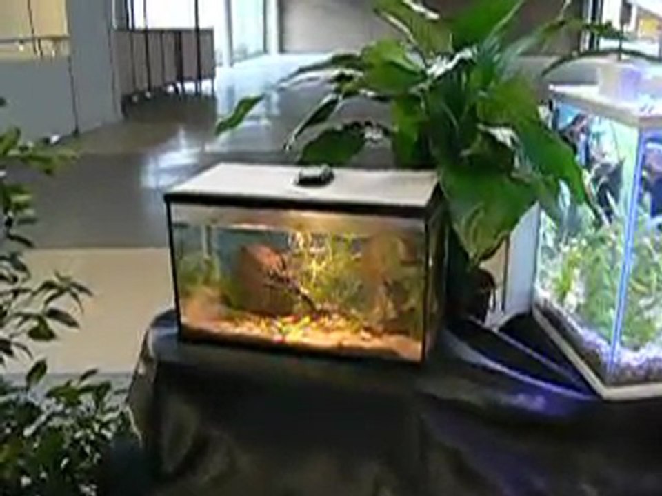 AnimaSud parc des expositions de Montpellier Janvier 2010