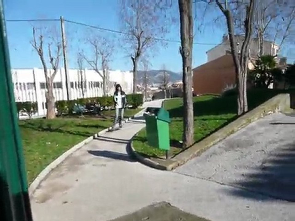 Petit spot
