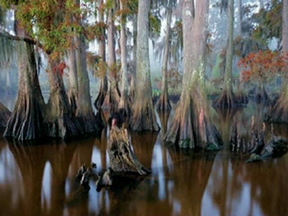 Çok Özel Resimler - Slayt