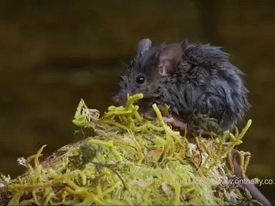 AEGMedia - Once in a blue moon