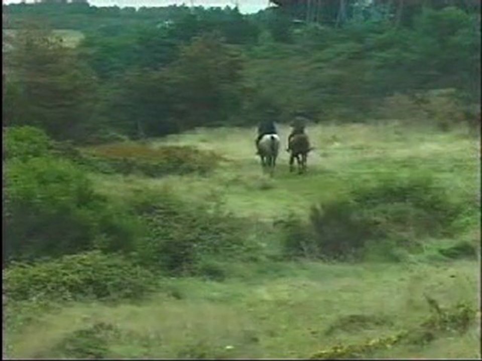 Promenade à cheval dans la baie de Cancale