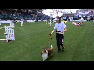 Purina Dog Show Highlights: Greg Louganis Competes