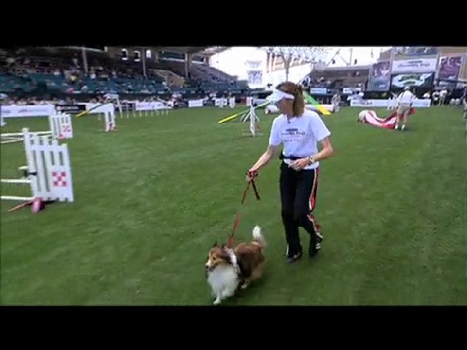 Purina Dog Show Highlights: Greg Louganis Competes