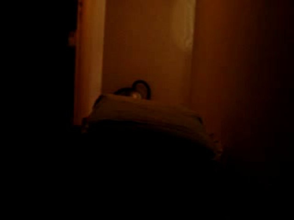 Dilou, saut d'obstacle.