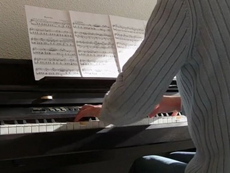 Chopin-Mazurka op 17 N°4