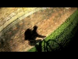 Buzz Cam (street art tours) Wayne Anthony 101