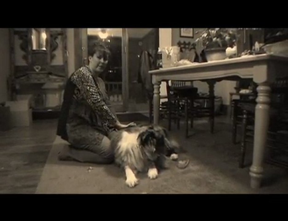 Shambhala Healing on my eldery Dog