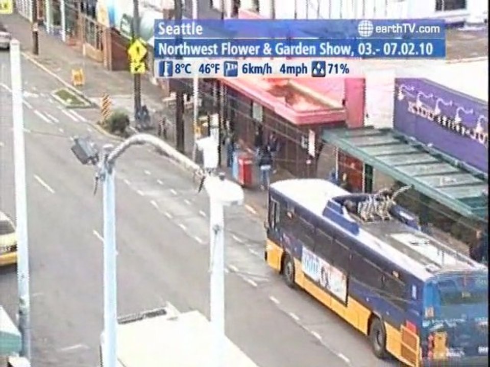 Budapest - Hungary, Honolulu - USA, Warsaw - Poland, Seattle - USA, Hamburg - Germany, Lugano - Ticino - Switzerland, Kyiv - Ukraine