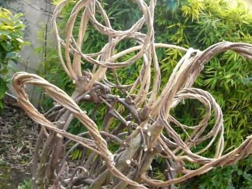 Sculptures-Vivantes le 22 janvier 2010