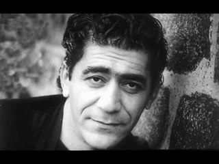 nisebina rengin-ciwan haco