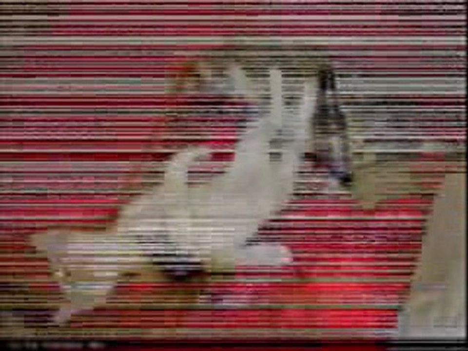 les animaux