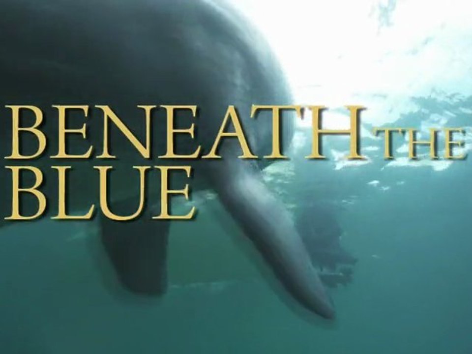 Beneath the Blue