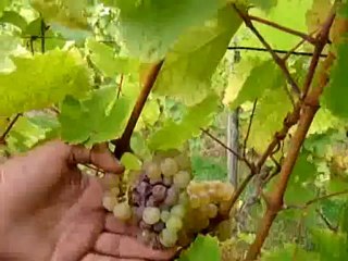 INTERVIEW DE FLORIAN BECK HARTWEG