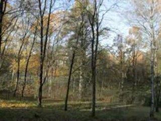 One year in 60 seconds - Une année en 60 secondes