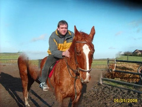 hommage a indiana une jument extras la jument de ma mere