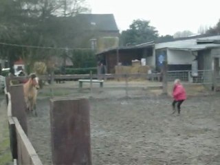 Câline Laachée ! =D