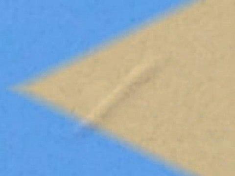 Daytime cigar-shaped UFO over Florida - January 2010