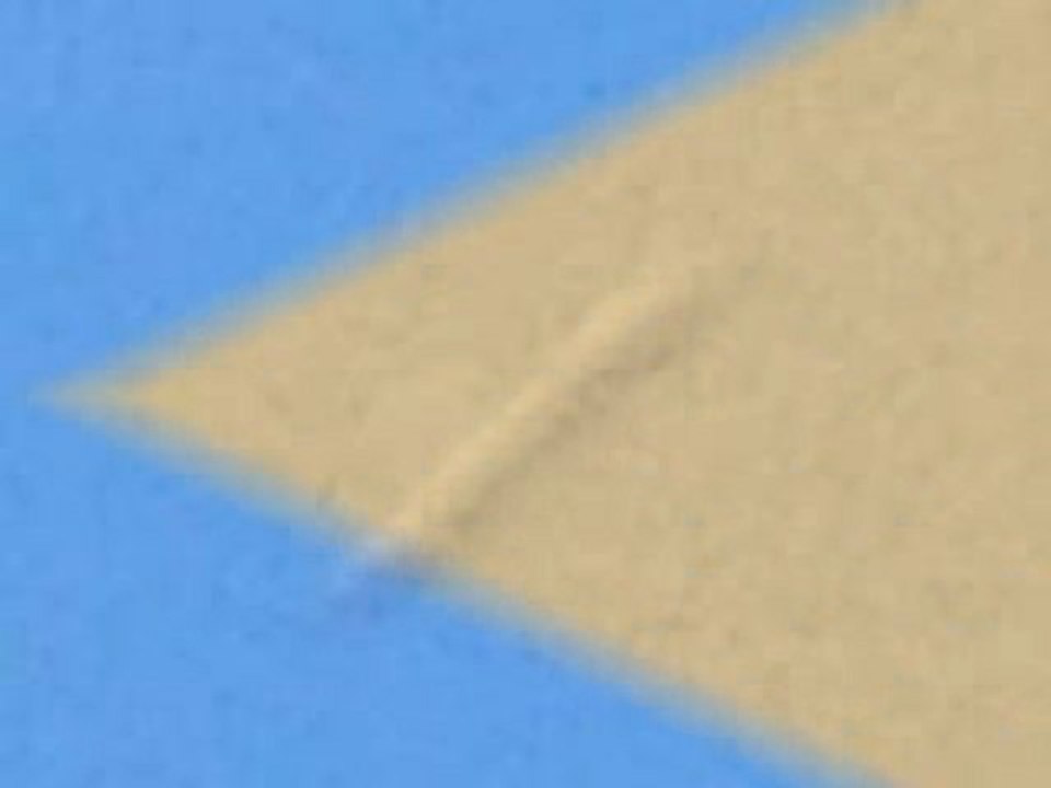 Daytime cigar-shaped UFO over Florida - January 2010