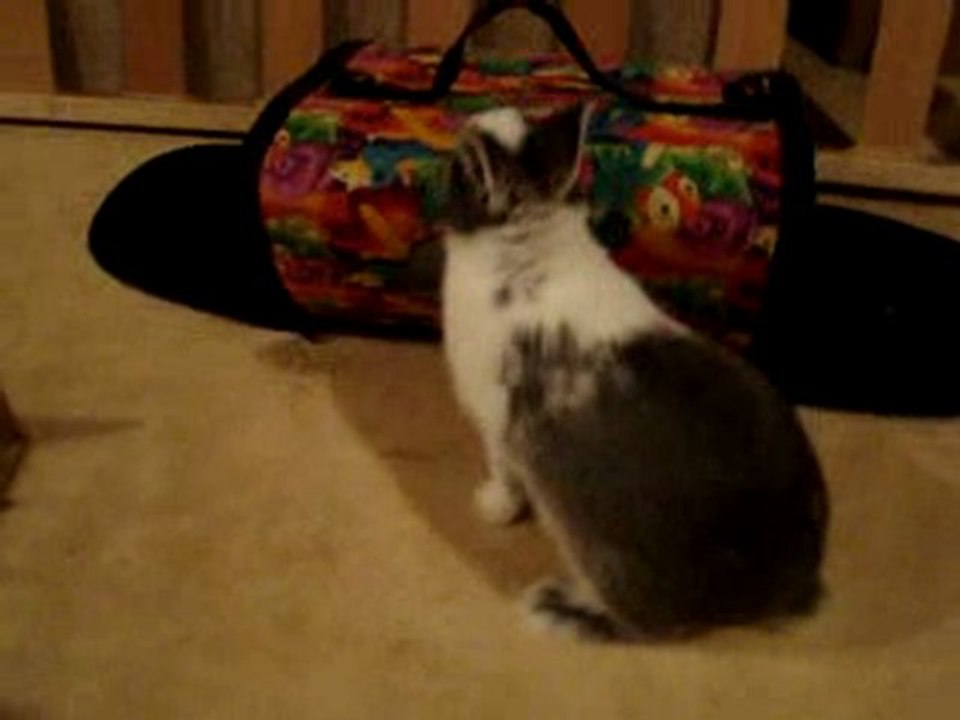 Petite balade ^^