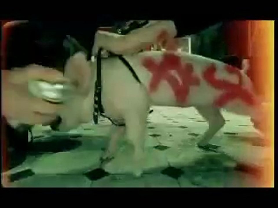 ХХХ-Malinki ;)