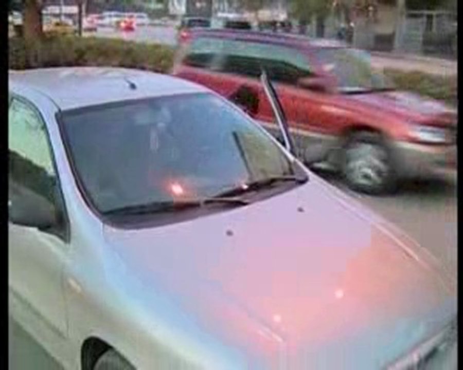 Oto hırsızı
