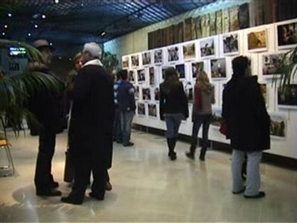 Présentation Festival Premiers Plans