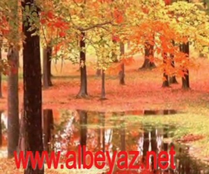 Tenlerin Seçimi - Mustafa Ceceli