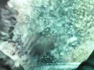 The Crazies (2010) Trailer 3