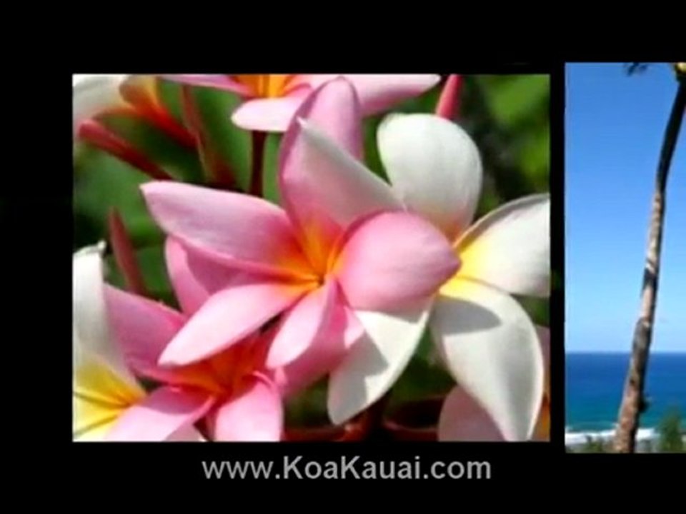 Kauai Island Real Estate For Sale