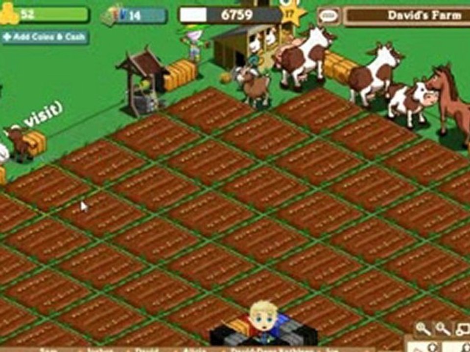 David's Sixth Day at Farmville Secrets Guide