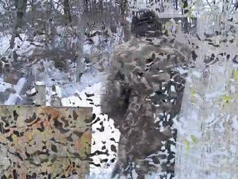 Paintball sous la neige le 10 janvier 2010