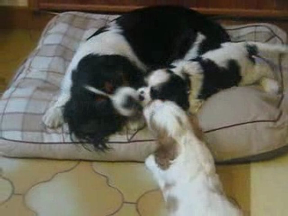 Jeu en famille
