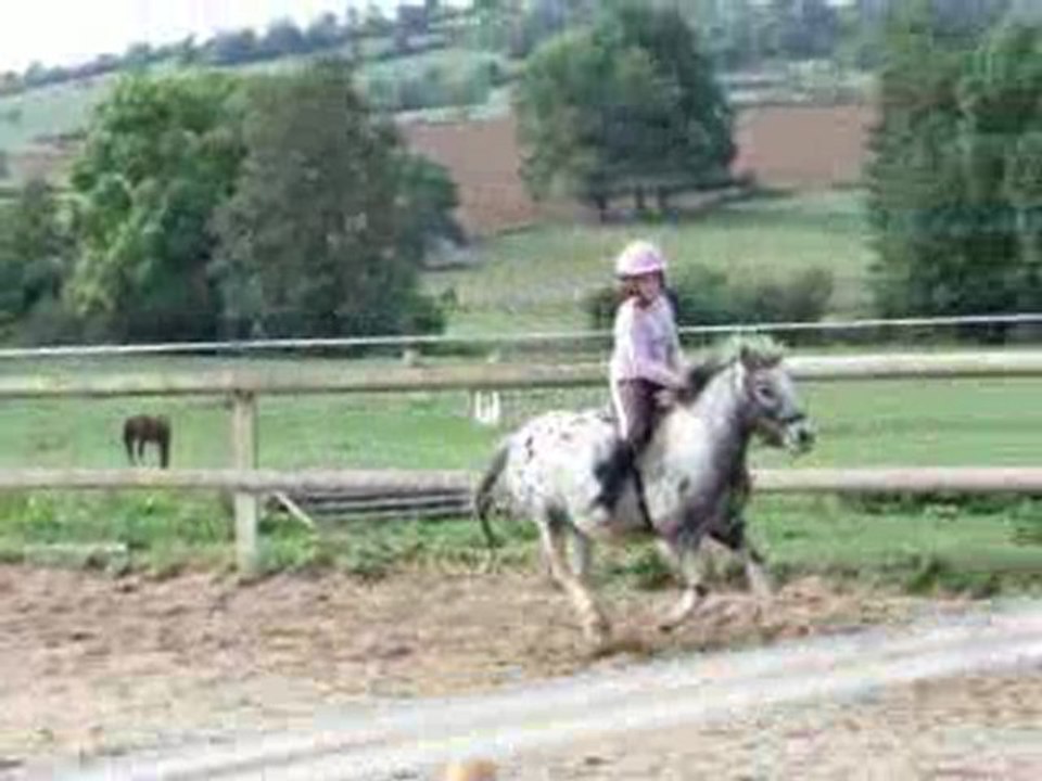 Moi et Papillon en concour