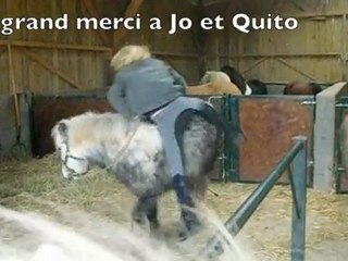 une aprèm' avec les shetlands