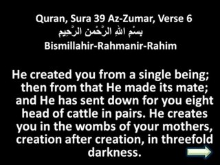 Quran Ayat of the Day No. 4 www.islamic-duas.com Az-Zumar