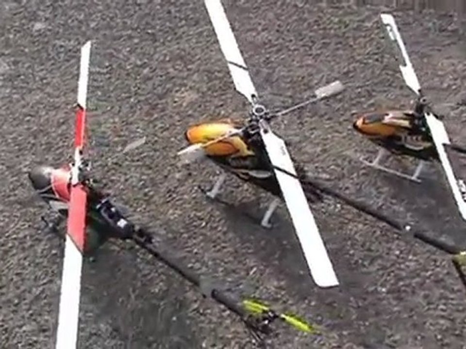 Trex450 Pro + Trex500 Esp