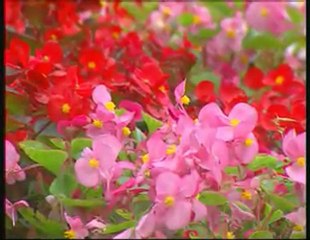 Sultanım - Mustafa Demirci