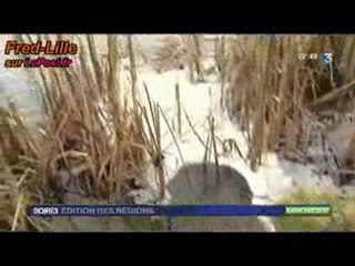 600 000 tonnes de déchets enfouis par AREVA_cantal