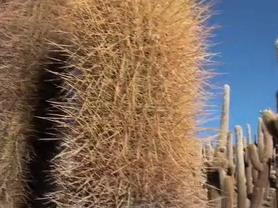 Uyuni