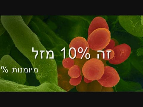 תרגום עברית: זוכר את השם עם נוף