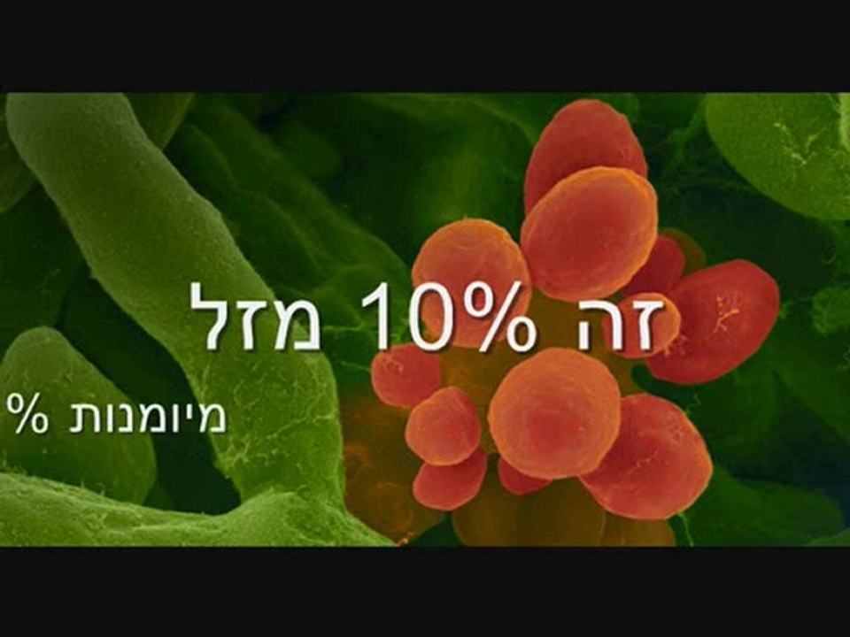 תרגום עברית: זוכר את השם עם נוף