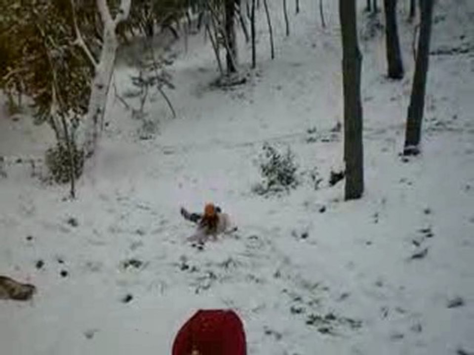 Zeynep VE ARDA Yıldızda 2010 - 2